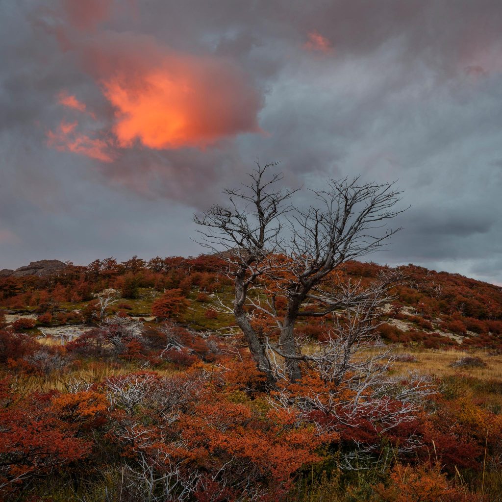 Patagonia autumn scenery