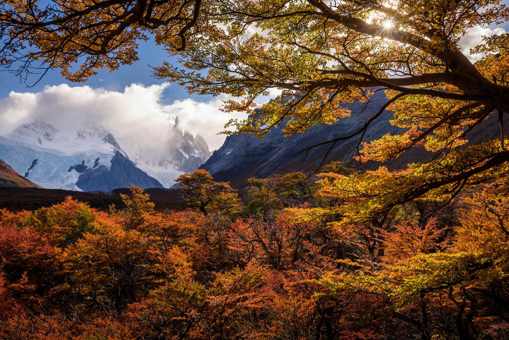 Patagonia autumn scenery