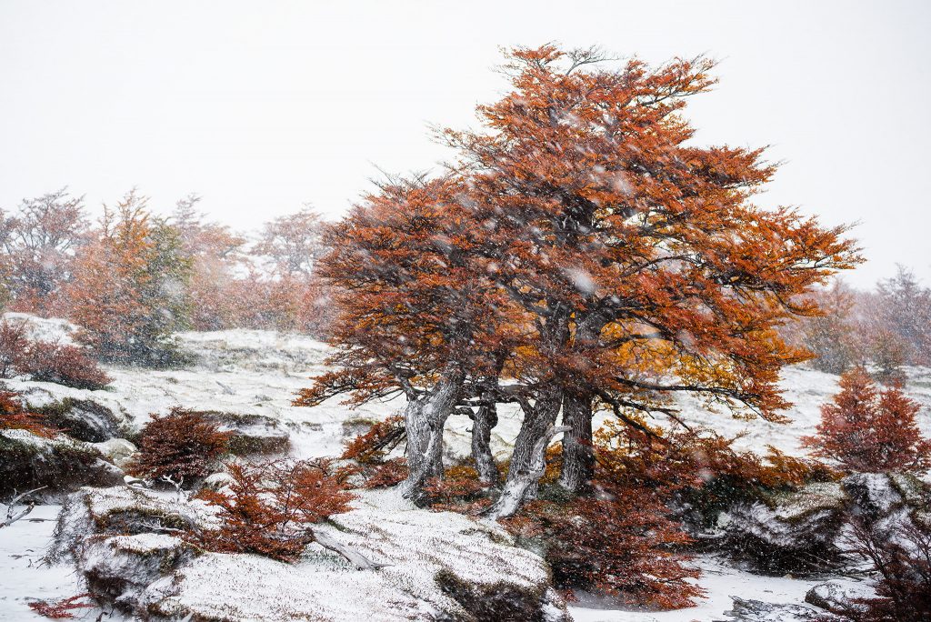 Patagonia autumn winter scenery
